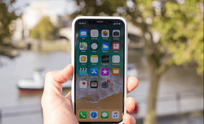 قبض على زوج الغش على iPhone