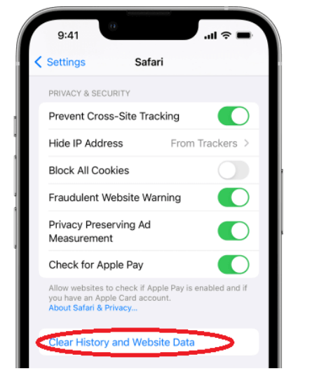 clear private browsing history on iphone