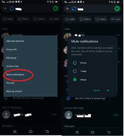 silenciar alguém no whatsapp
