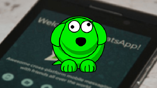 whatsdog software