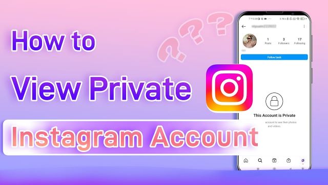 see activity on instagram
