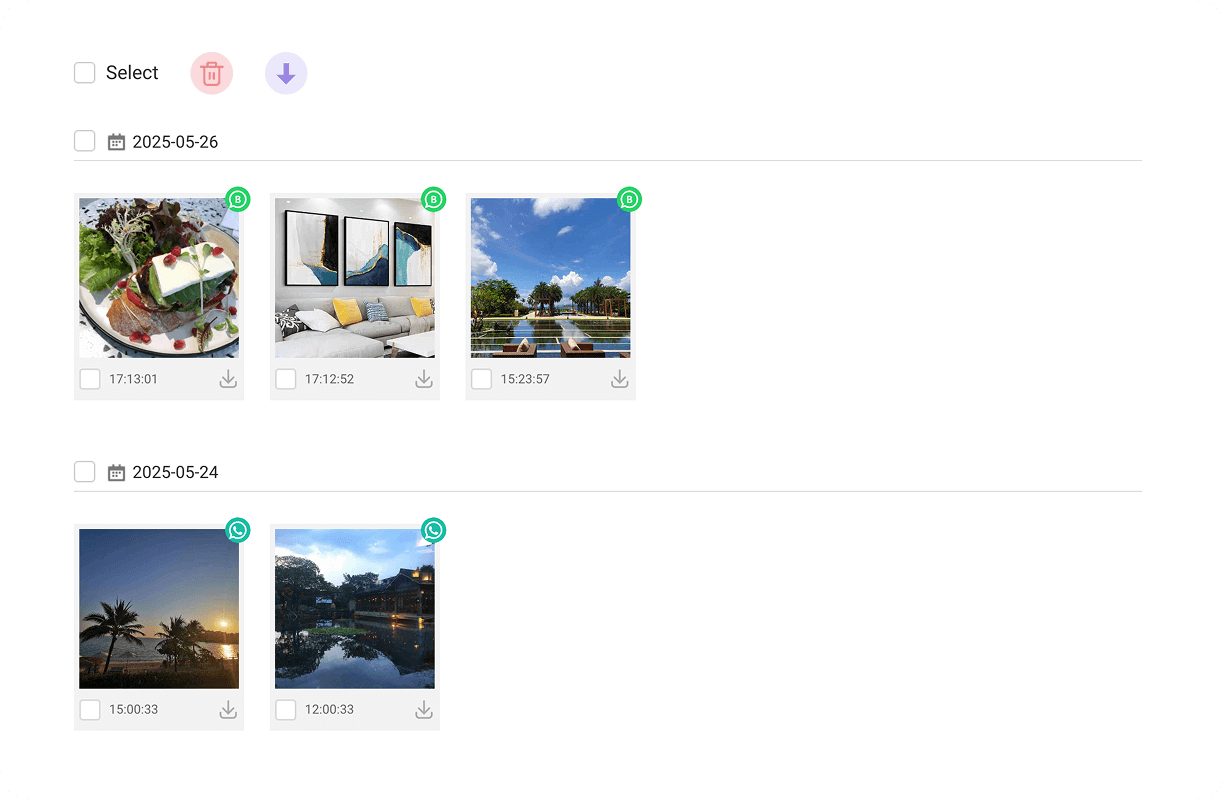 Photos