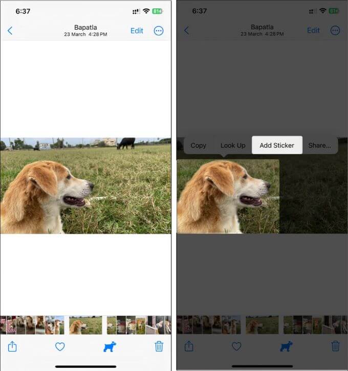 create ios 17 live stickers from photo albums