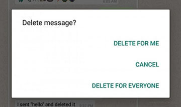 delete individual whatsapp chat