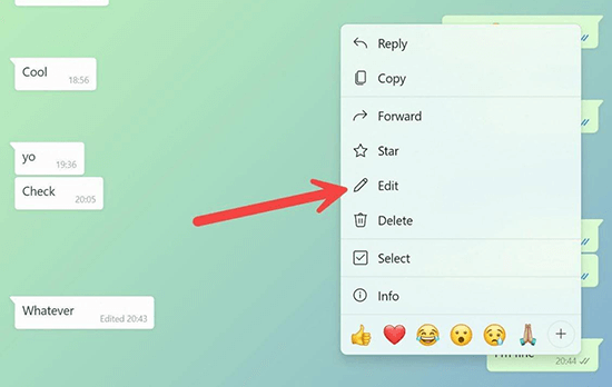 edit message in whatsapp web