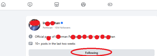 facebook following