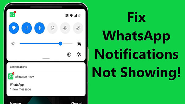 fix whatsapp notification not working