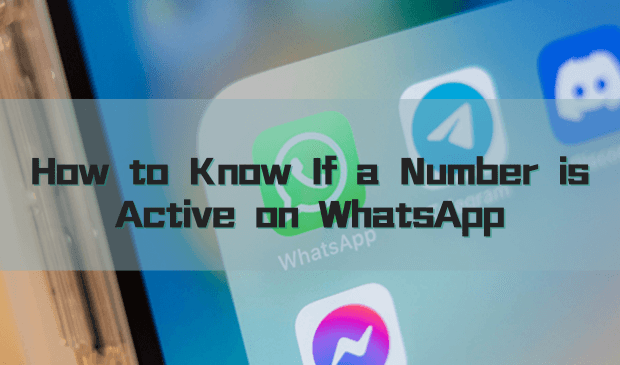 how to know if a number is active on whatsapp