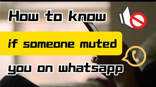 how to know if someone muted you on whatsapp