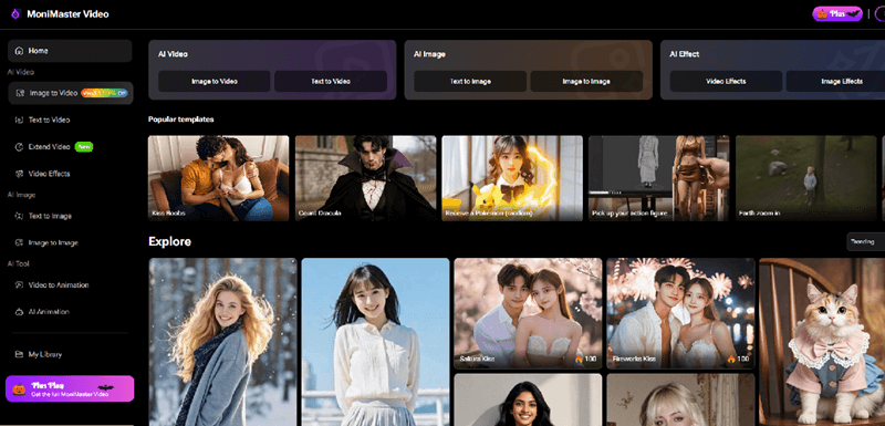 Monimaster Video home page