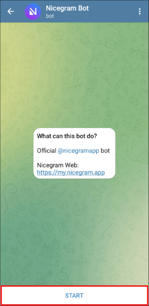 nicegram bot