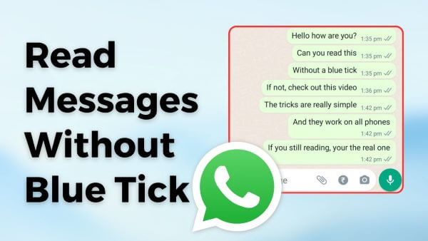 read whatsapp message without blue tick