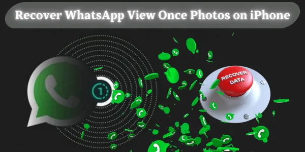 How to Recover WhatsApp View Once Photo iPhone [Don't Miss]