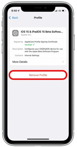 remove profile ios 16