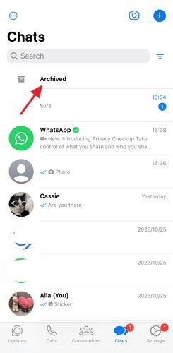 see archive whatsapp chat on ios