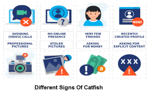 signs of a catfish