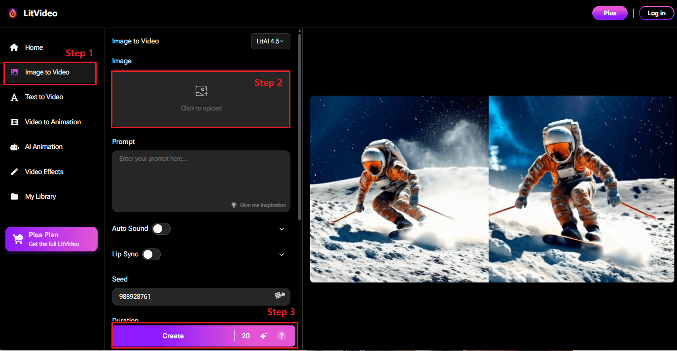 steps to use litvideo
