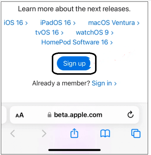 switch from developer to public beta