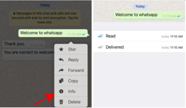 turn-on-reading-receipts-on-whatsapp