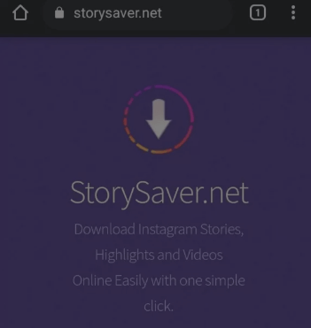 view instagram stories by storysaver