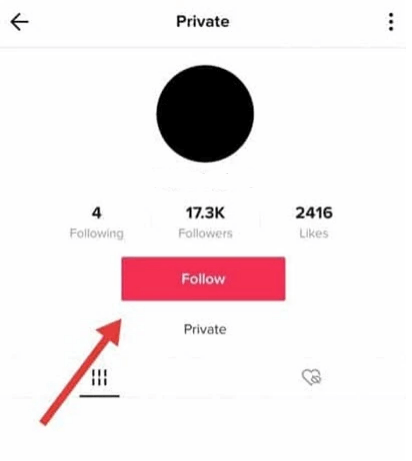 view private tiktok accounts