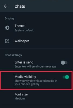 whatsapp media visibility setting