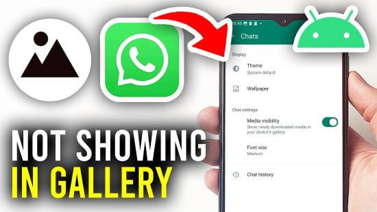 whatsapp photos not showing in gallery