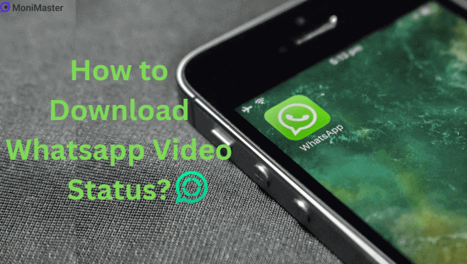 How to Download Whatsapp Video Status? [5 Ways Don't Miss]