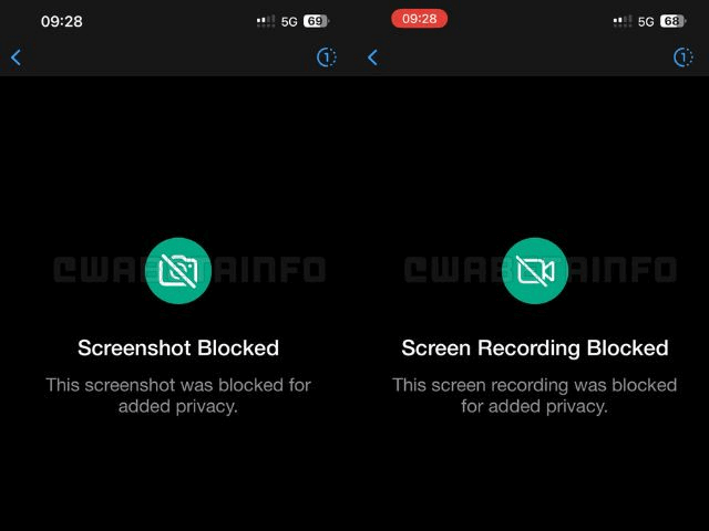 block screenshots in ios