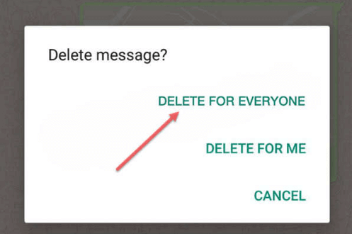 delete whatsapp message for all chats