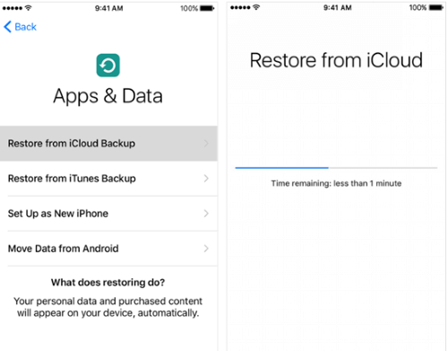 how to find deleted history on iphone icloud