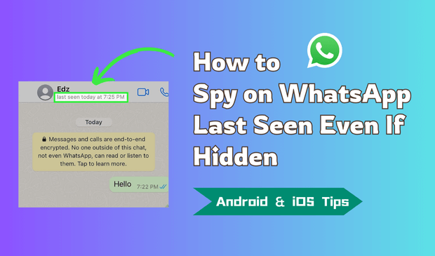 How to Spy on WhatsApp Last Seen Even If Hidden [Solved]