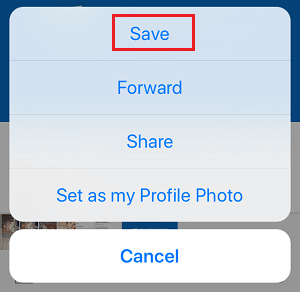 save photos on whatsapp from iphone