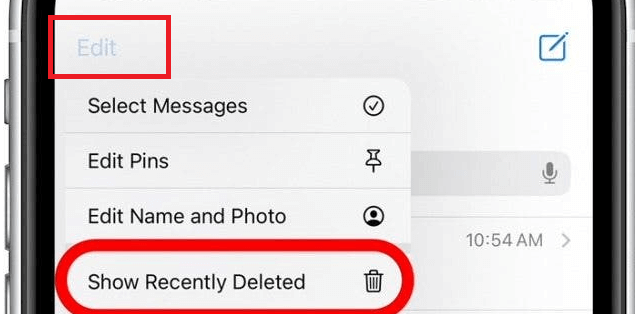 see deleted messages