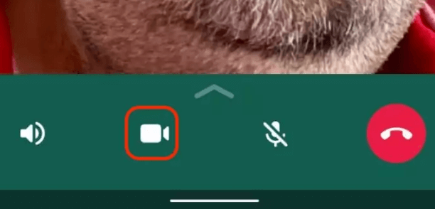 switch between voice and video calls