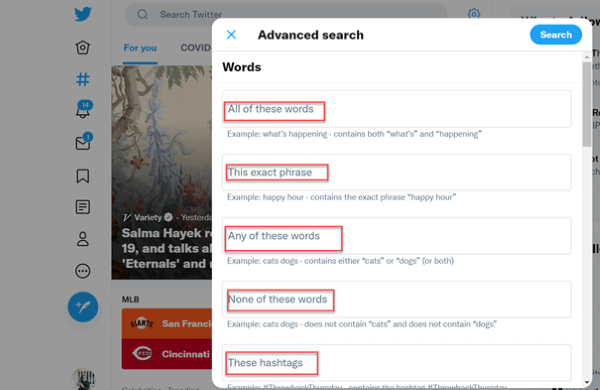 twitter advanced search