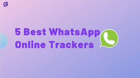 5 Best WhatsApp Online Trackers [Completed Guide]