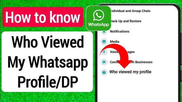 cómo saber quién vio mi perfil de WhatsApp