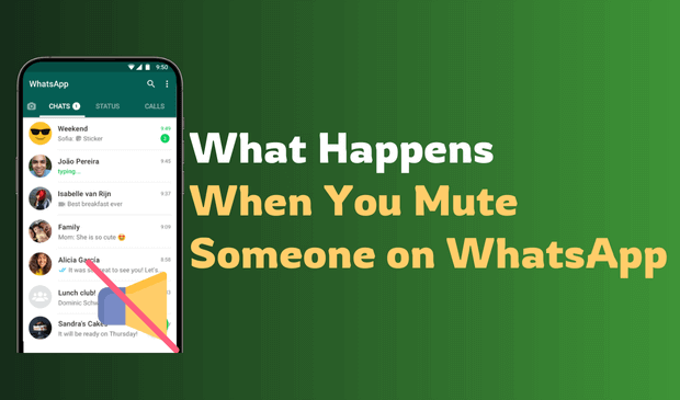 mettre en sourdine sur whatsapp