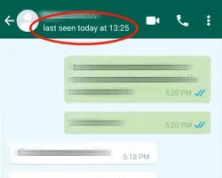 метод для просмотра последнего визита в WhatsApp